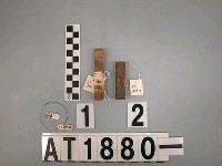 藏品(竹管耳飾)的圖片